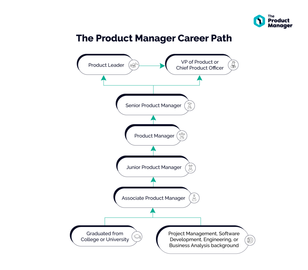 flowchart following the career path of a product manager from entry level positions all the way to more senior positions