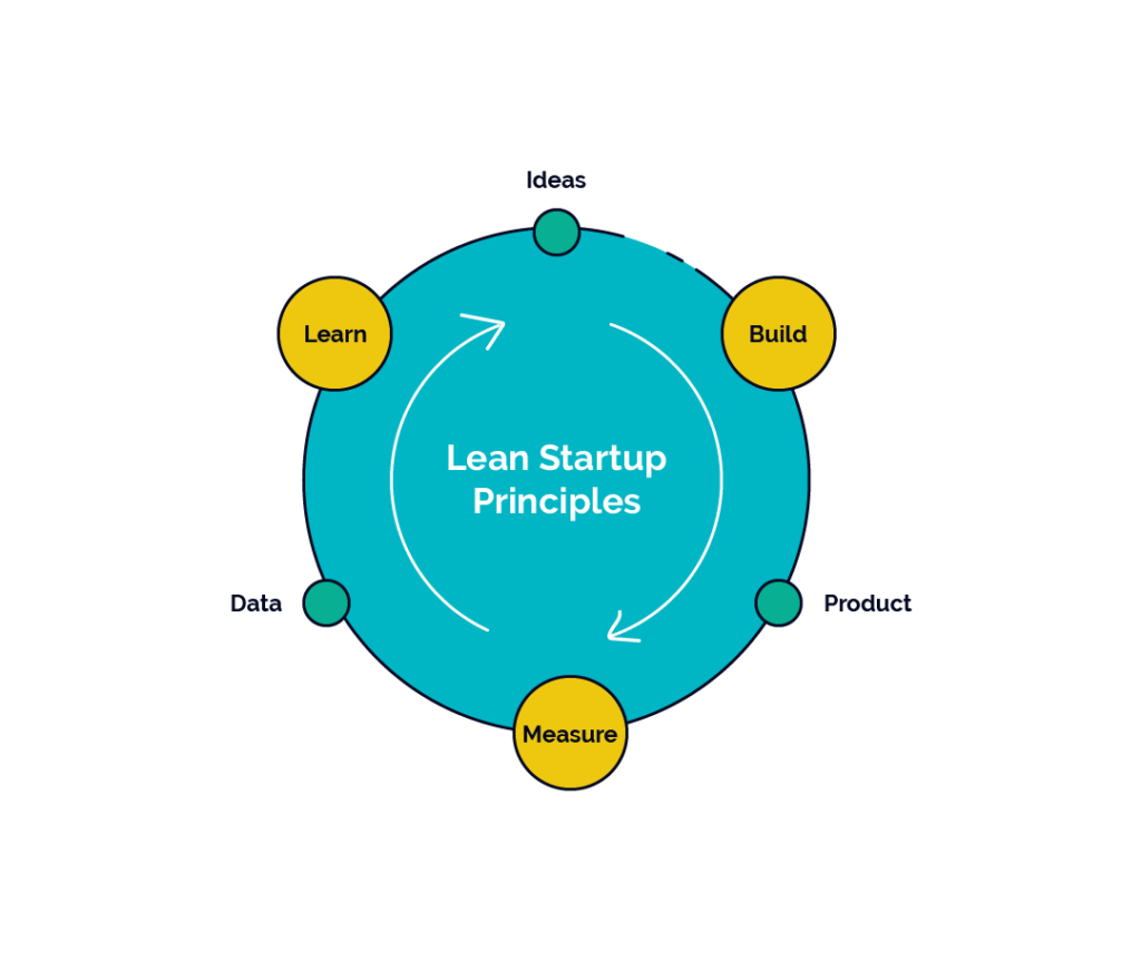 Lean StartUp Principles Infographic